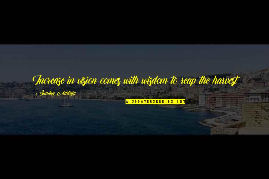 Heidisongs Quotes By Sunday Adelaja: Increase in vision comes with wisdom to reap