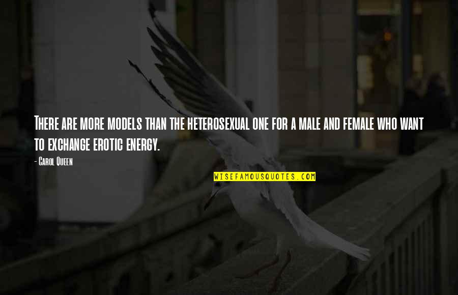Heidorn Construction Quotes By Carol Queen: There are more models than the heterosexual one