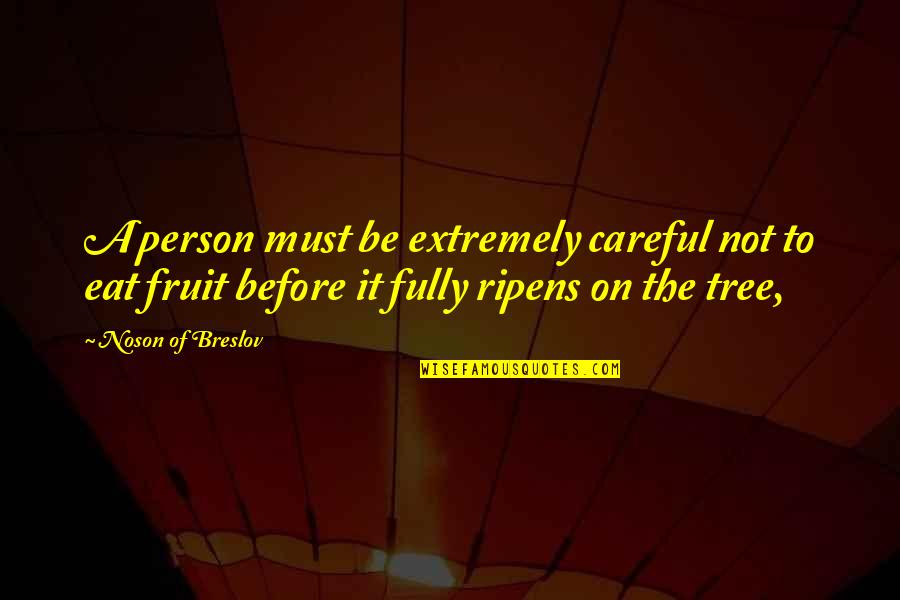 Heigan The Unclean Quotes By Noson Of Breslov: A person must be extremely careful not to