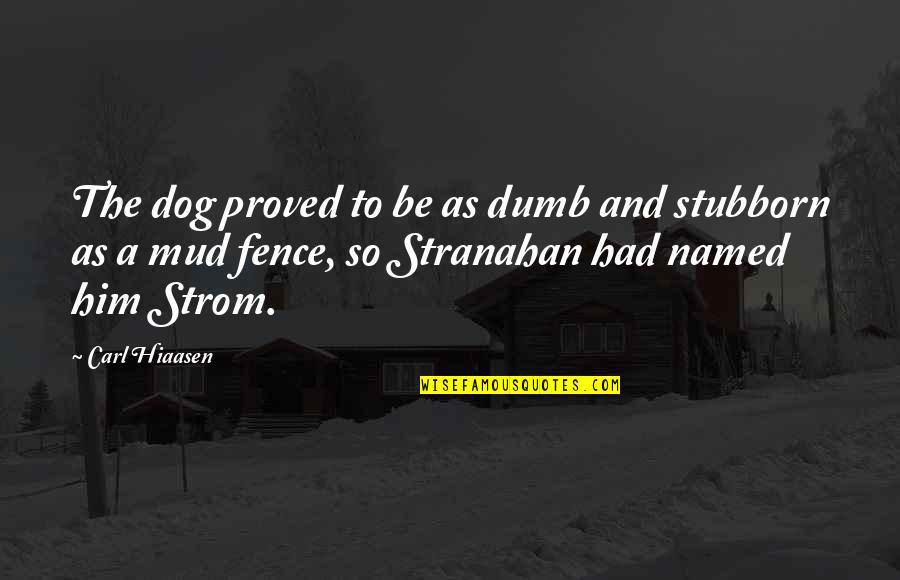 Heijmans Infrastructure Quotes By Carl Hiaasen: The dog proved to be as dumb and