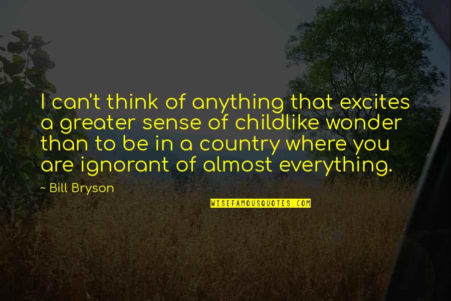 Heill Quotes By Bill Bryson: I can't think of anything that excites a Heill Quotes By Bill Bryson: I can't think of anything that excites a