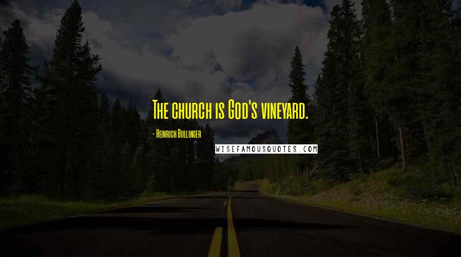 Heinrich Bullinger quotes: The church is God's vineyard.