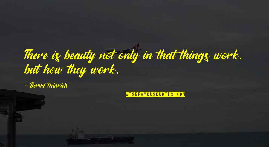 Heinrich Quotes By Bernd Heinrich: There is beauty not only in that things Heinrich Quotes By Bernd Heinrich: There is beauty not only in that things