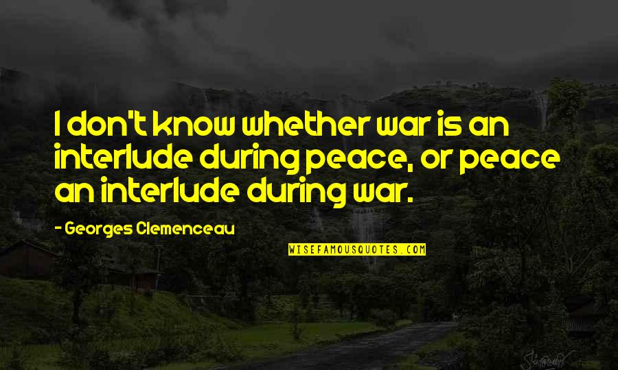 Heinz Hartmann Quotes By Georges Clemenceau: I don't know whether war is an interlude