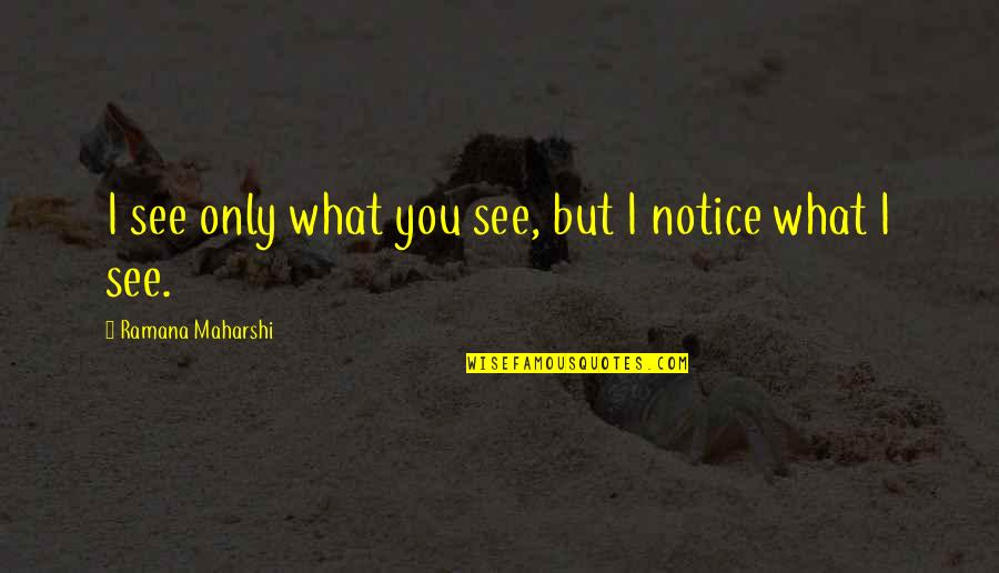 Heir To Family Wisdom Quotes By Ramana Maharshi: I see only what you see, but I