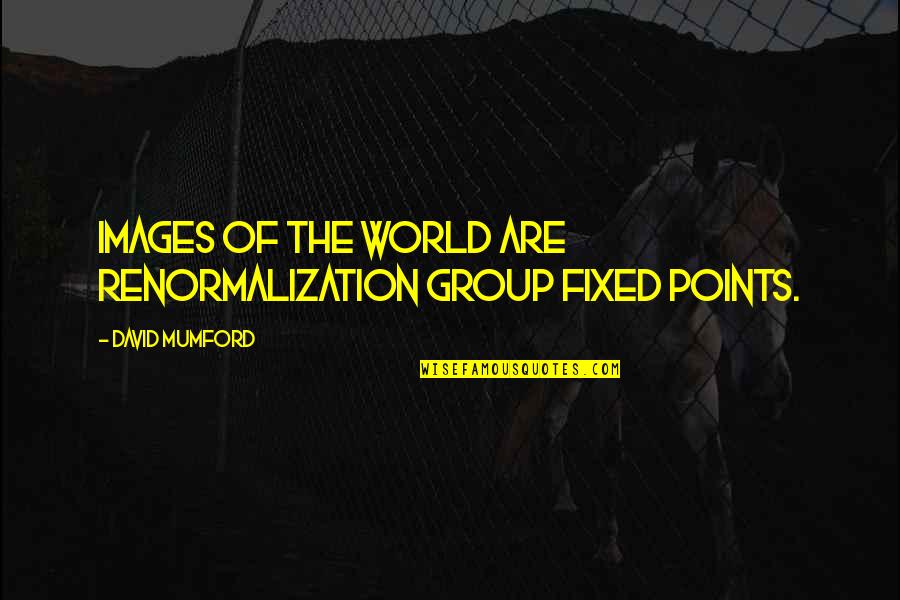 Heirlooms And Goddesses Quotes By David Mumford: Images of the world are Renormalization Group fixed