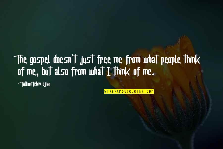 Heisey Collectors Quotes By Tullian Tchividjian: The gospel doesn't just free me from what Heisey Collectors Quotes By Tullian Tchividjian: The gospel doesn't just free me from what