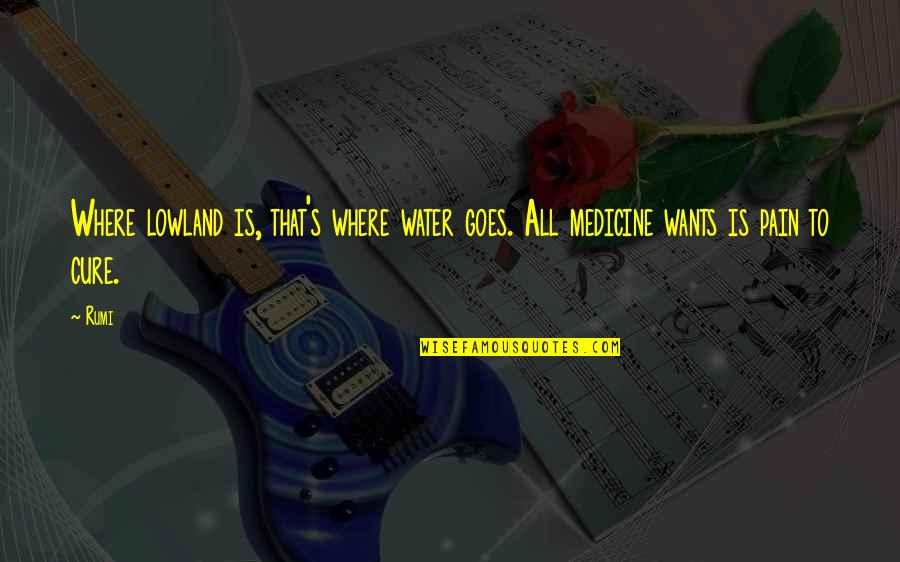 Heisstillworking Quotes By Rumi: Where lowland is, that's where water goes. All