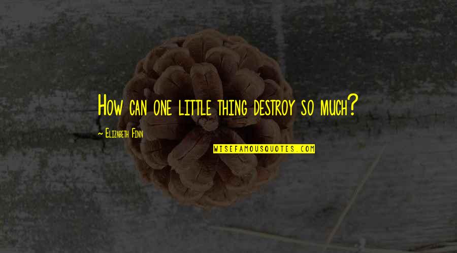 Heitkotter Montgomery Quotes By Elizabeth Finn: How can one little thing destroy so much?