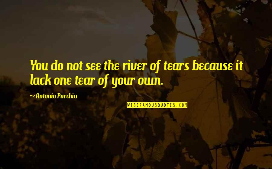 Heitzmann Dentist Quotes By Antonio Porchia: You do not see the river of tears