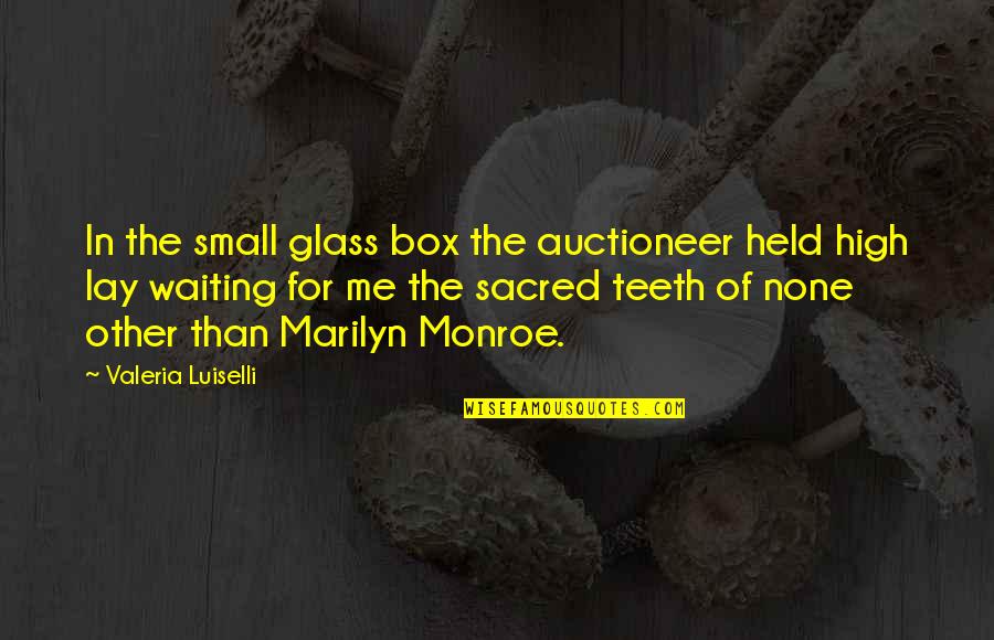 Held Up High Quotes By Valeria Luiselli: In the small glass box the auctioneer held