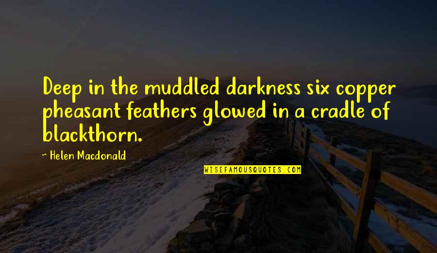 Helen Blackthorn Quotes By Helen Macdonald: Deep in the muddled darkness six copper pheasant Helen Blackthorn Quotes By Helen Macdonald: Deep in the muddled darkness six copper pheasant