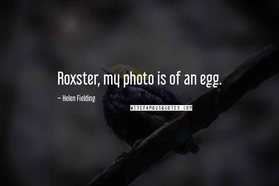 Helen Fielding quotes: Roxster, my photo is of an egg.