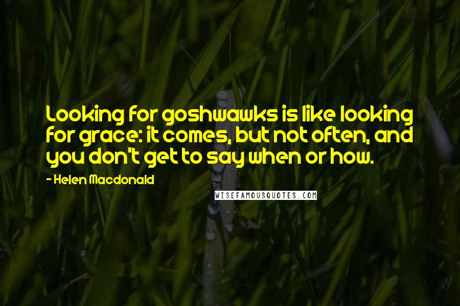 Helen Macdonald quotes: Looking for goshwawks is like looking for grace: it comes, but not often, and you don't get to say when or how.