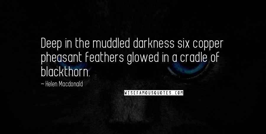 Helen Macdonald quotes: Deep in the muddled darkness six copper pheasant feathers glowed in a cradle of blackthorn.