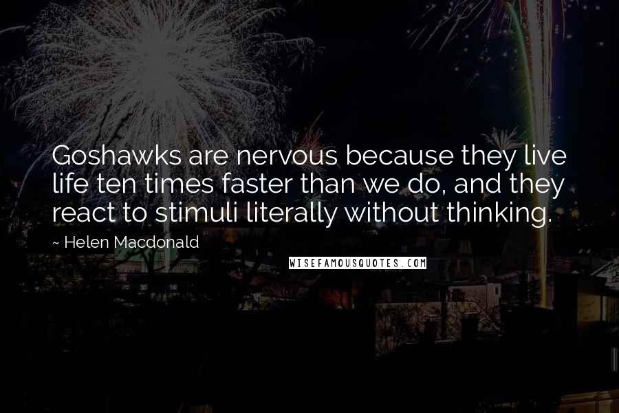 Helen Macdonald quotes: Goshawks are nervous because they live life ten times faster than we do, and they react to stimuli literally without thinking.