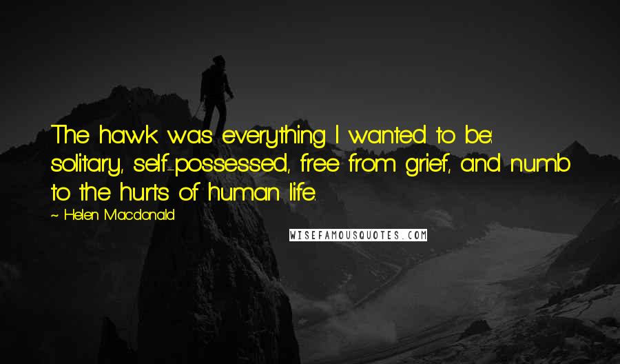 Helen Macdonald quotes: The hawk was everything I wanted to be: solitary, self-possessed, free from grief, and numb to the hurts of human life.