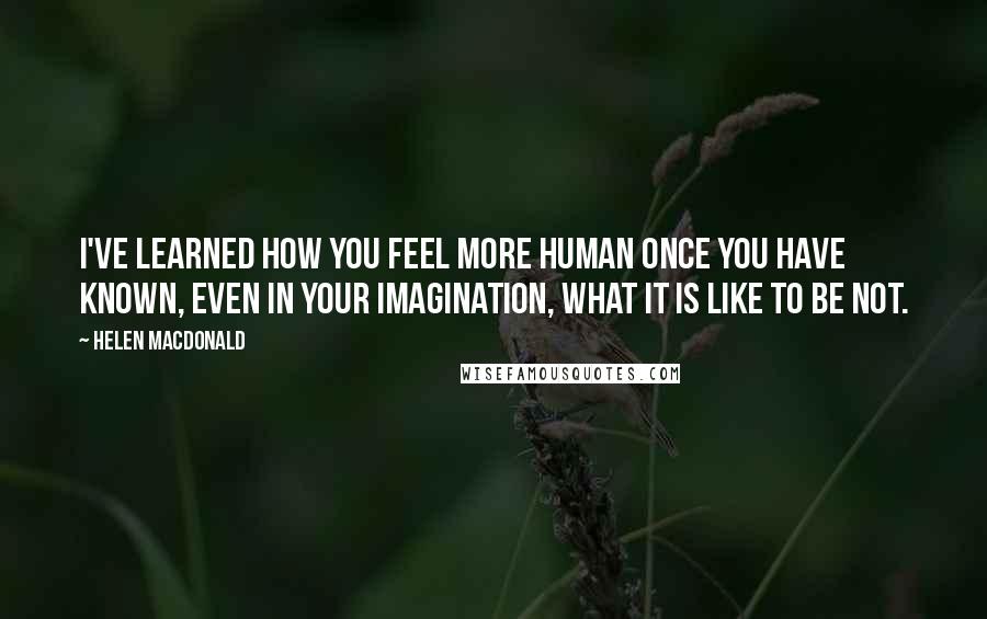 Helen Macdonald quotes: I've learned how you feel more human once you have known, even in your imagination, what it is like to be not.