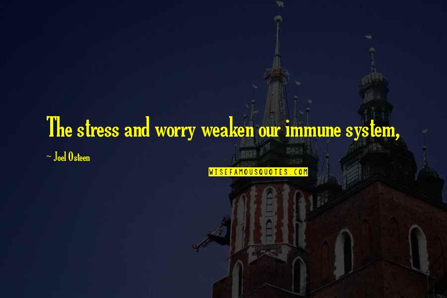 Helen Of Troy Quotes By Joel Osteen: The stress and worry weaken our immune system,