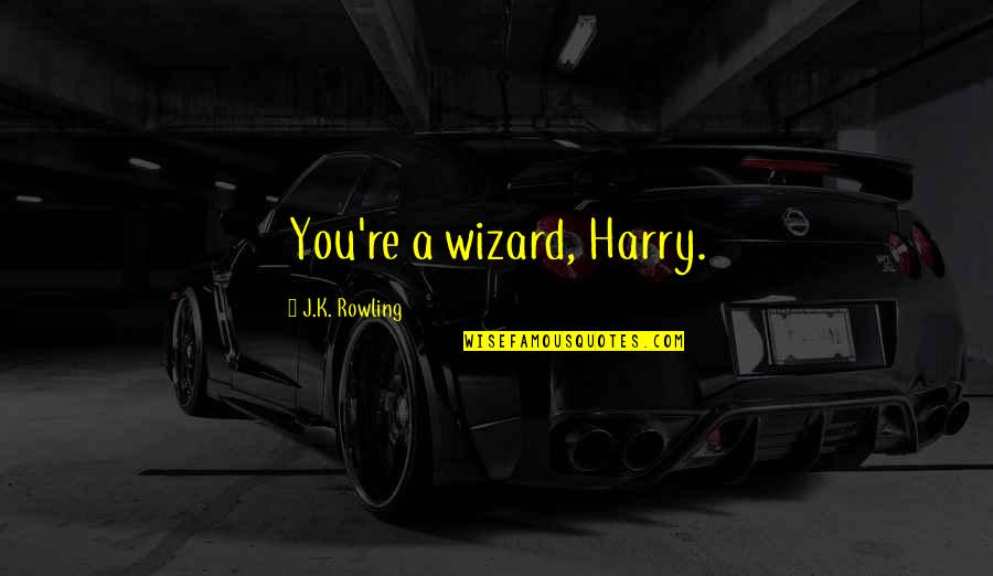 Helen Robinson Quotes By J.K. Rowling: You're a wizard, Harry.