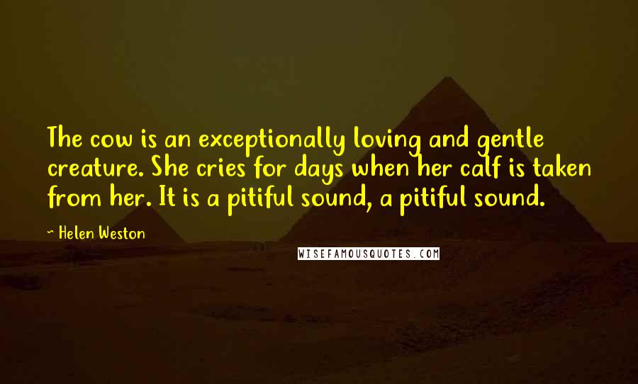 Helen Weston quotes: The cow is an exceptionally loving and gentle creature. She cries for days when her calf is taken from her. It is a pitiful sound, a pitiful sound.