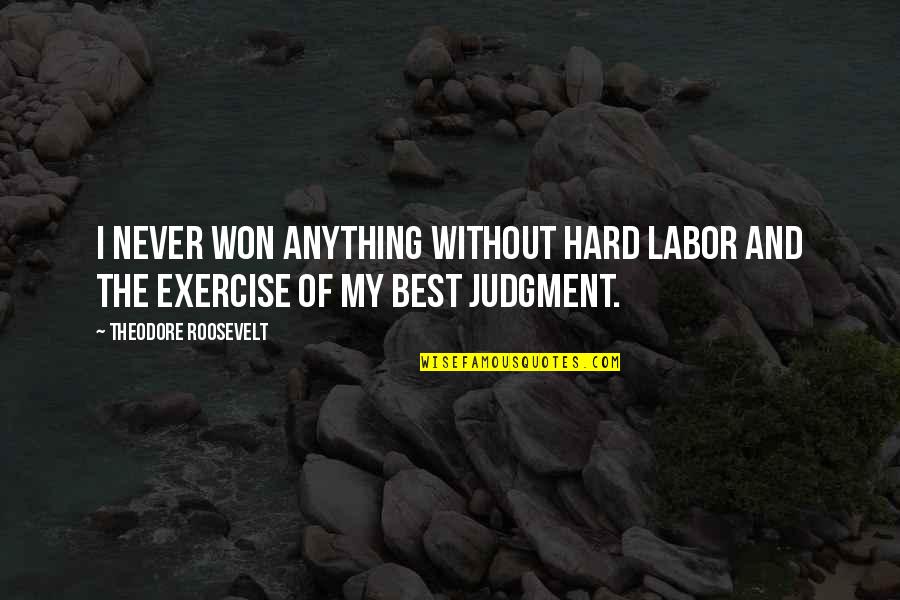 Helene Aquilla Quotes By Theodore Roosevelt: I never won anything without hard labor and
