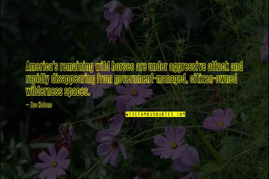 Helene Quotes By Zoe Helene: America's remaining wild horses are under aggressive attack Helene Quotes By Zoe Helene: America's remaining wild horses are under aggressive attack