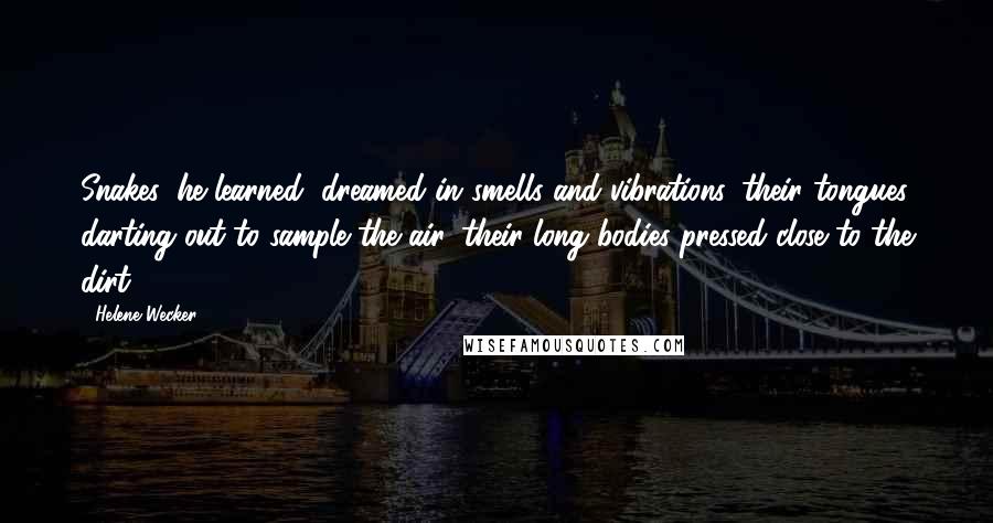 Helene Wecker quotes: Snakes, he learned, dreamed in smells and vibrations, their tongues darting out to sample the air, their long bodies pressed close to the dirt.