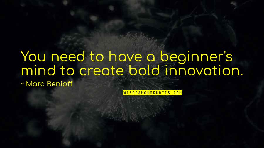 Helfen Vonzata Quotes By Marc Benioff: You need to have a beginner's mind to