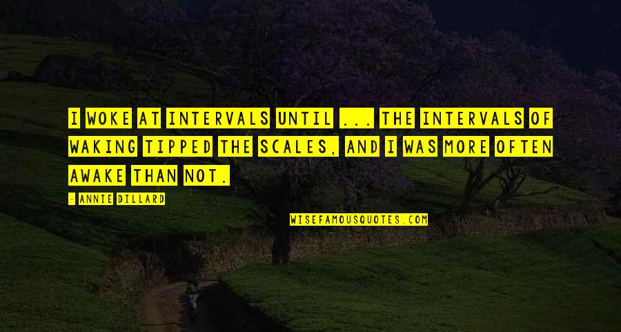 Helfrichi Quotes By Annie Dillard: I woke at intervals until ... the intervals Helfrichi Quotes By Annie Dillard: I woke at intervals until ... the intervals