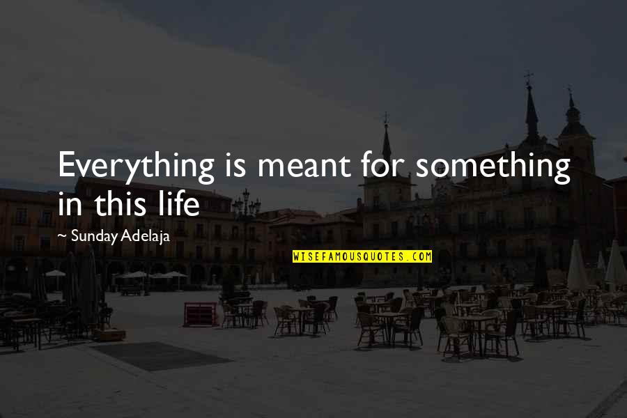 Helga Brandt Quotes By Sunday Adelaja: Everything is meant for something in this life Helga Brandt Quotes By Sunday Adelaja: Everything is meant for something in this life
