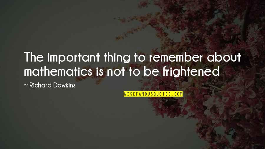 Helicopter Rides Quotes By Richard Dawkins: The important thing to remember about mathematics is