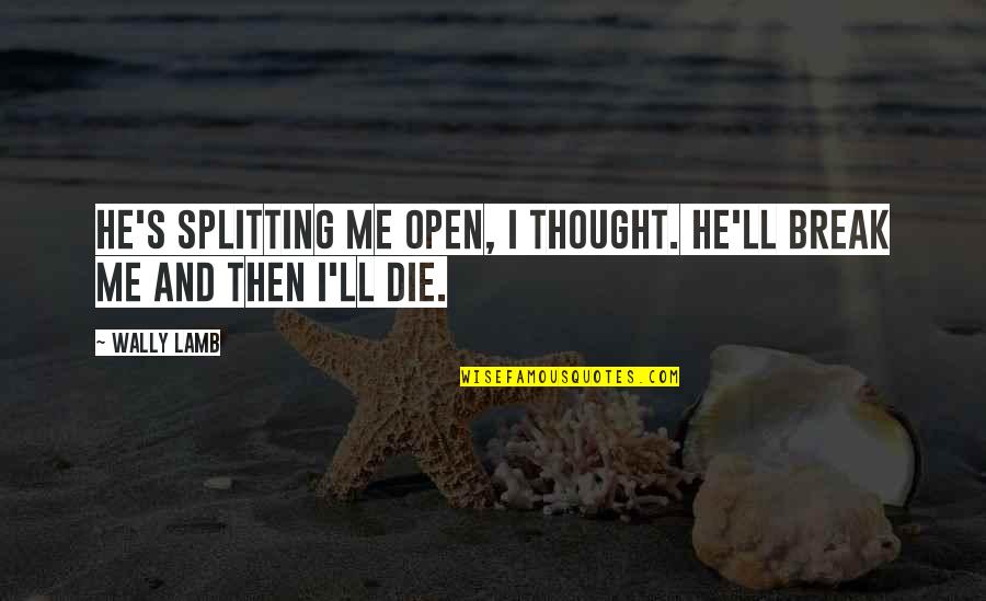 Heliopolis Sporting Quotes By Wally Lamb: He's splitting me open, I thought. He'll break