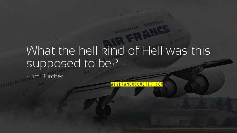 Hell Funny Quotes By Jim Butcher: What the hell kind of Hell was this