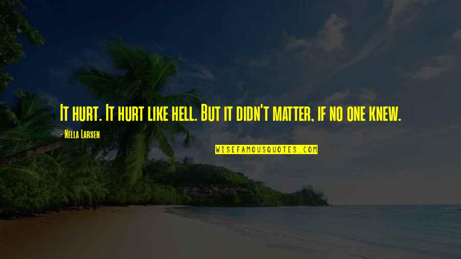 Hell Like Life Quotes By Nella Larsen: It hurt. It hurt like hell. But it