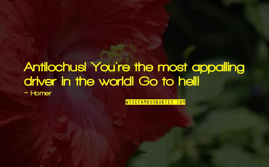 Hell The World Quotes By Homer: Antilochus! You're the most appalling driver in the