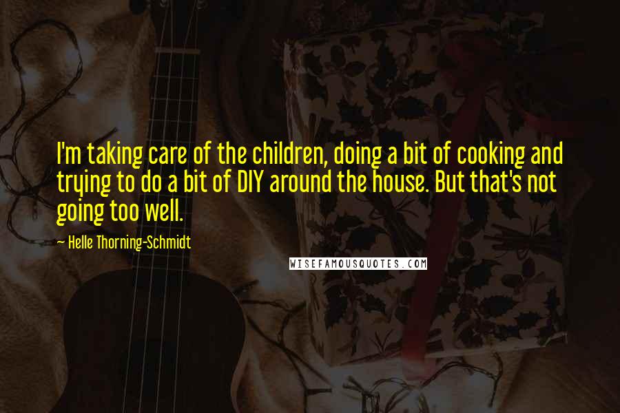 Helle Thorning-Schmidt quotes: I'm taking care of the children, doing a bit of cooking and trying to do a bit of DIY around the house. But that's not going too well.
