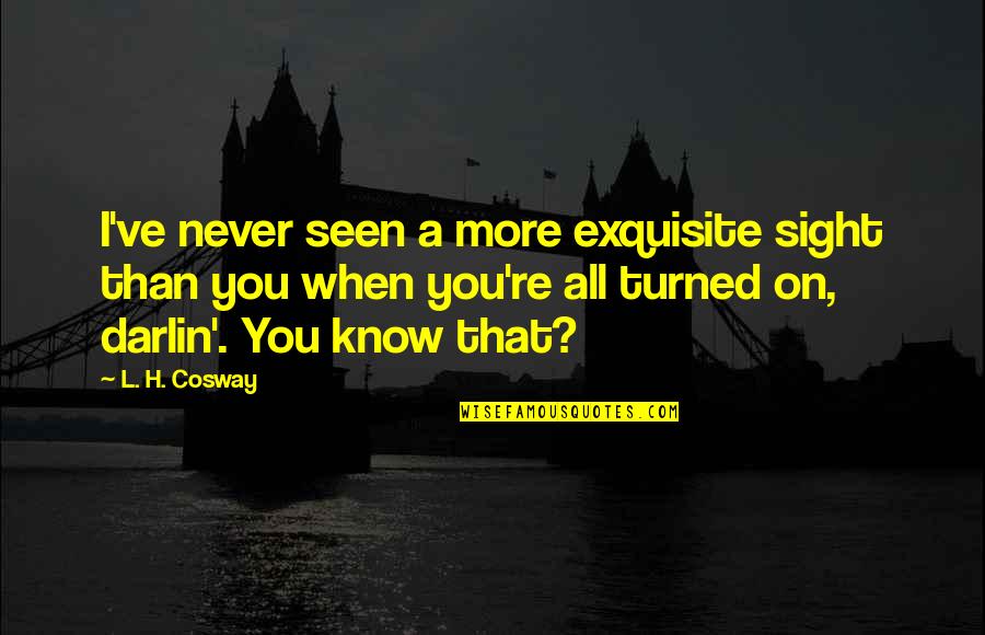 Hellingly Station Quotes By L. H. Cosway: I've never seen a more exquisite sight than