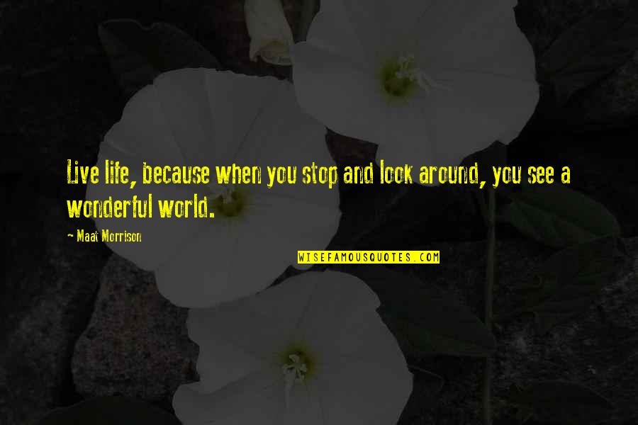 Hellmann Worldwide Quotes By Maat Morrison: Live life, because when you stop and look