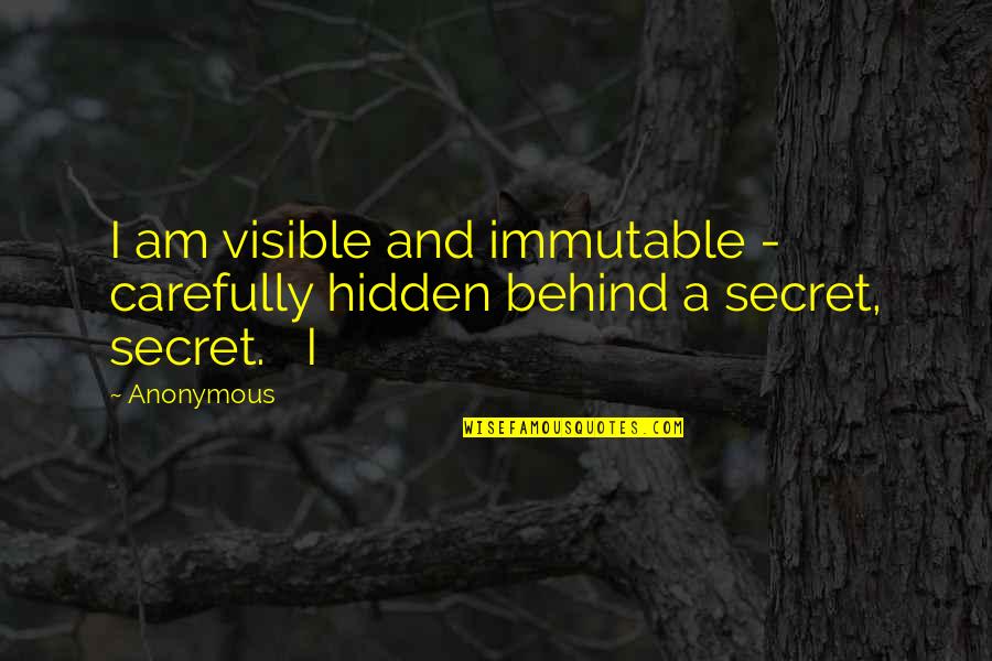 Hello Baby Goodbye Friends Quotes By Anonymous: I am visible and immutable - carefully hidden