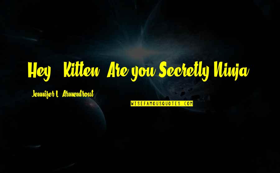 Helmand Quotes By Jennifer L. Armentrout: Hey.. Kitten..Are you Secretly Ninja? Helmand Quotes By Jennifer L. Armentrout: Hey.. Kitten..Are you Secretly Ninja?