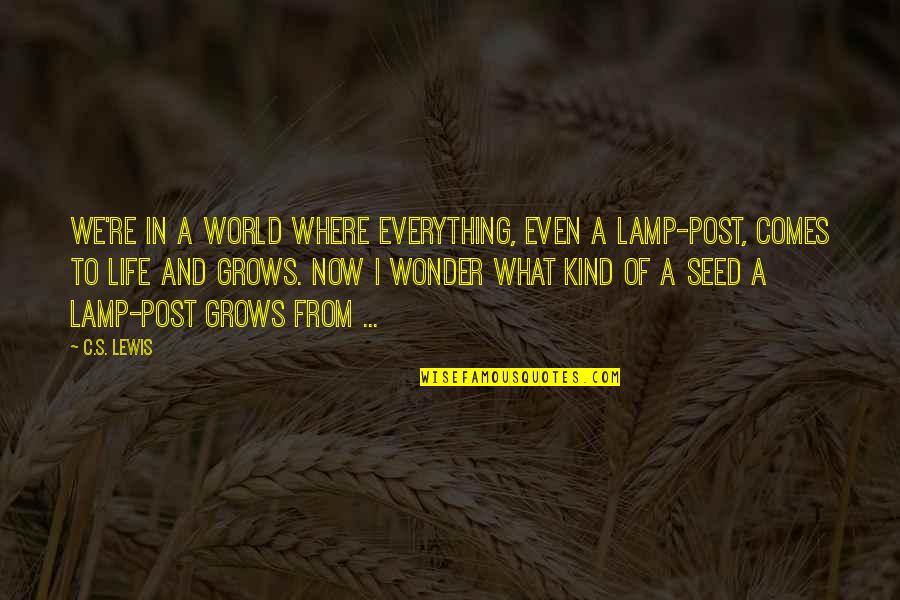 Helmstetter Shad Quotes By C.S. Lewis: We're in a world where everything, even a Helmstetter Shad Quotes By C.S. Lewis: We're in a world where everything, even a