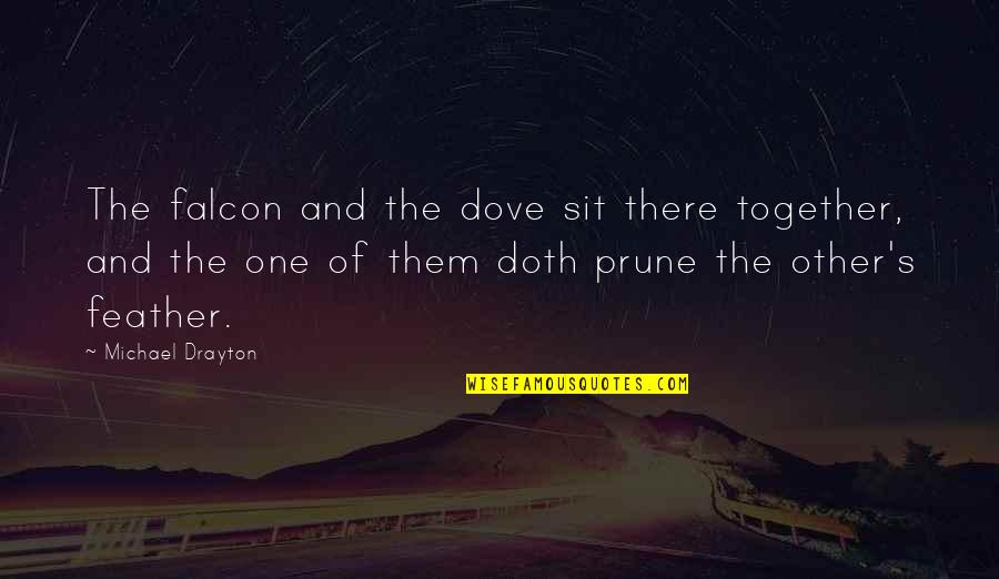 Helmstetter Shad Quotes By Michael Drayton: The falcon and the dove sit there together,