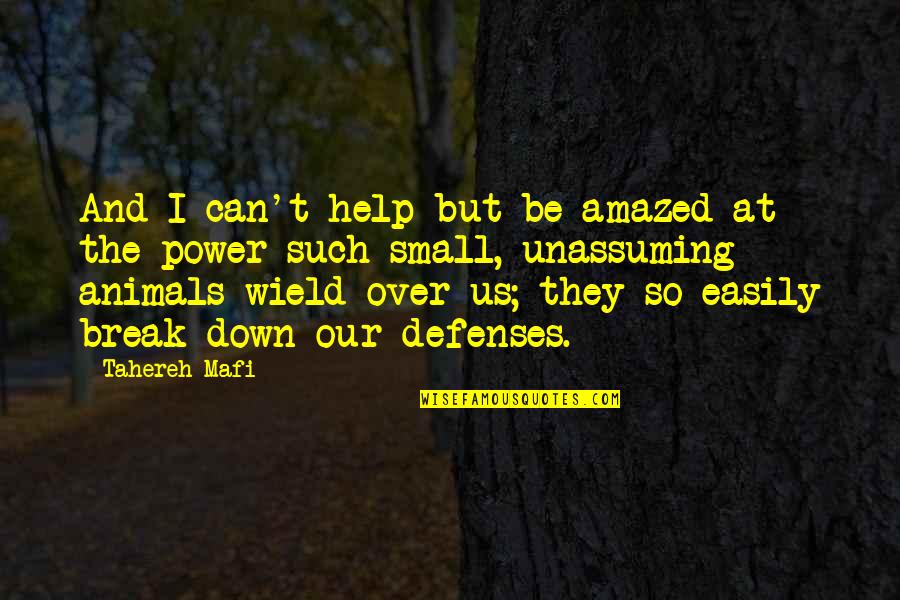 Help Animals Quotes By Tahereh Mafi: And I can't help but be amazed at