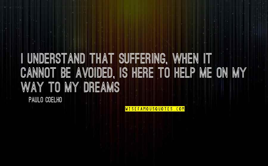 Help Me To Understand Quotes By Paulo Coelho: I understand that suffering, when it cannot be
