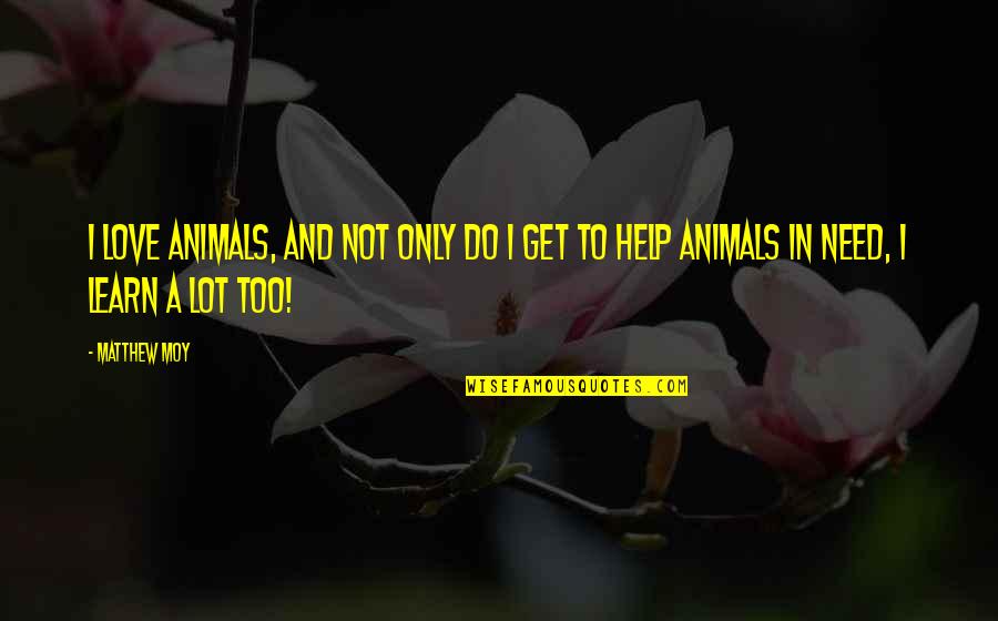 Helping Animals In Need Quotes By Matthew Moy: I love animals, and not only do I