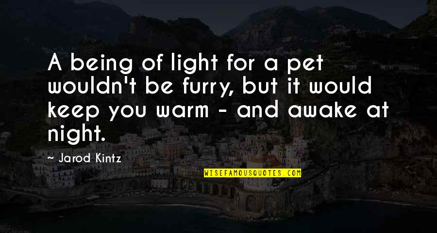 Helping Countries Quotes By Jarod Kintz: A being of light for a pet wouldn't
