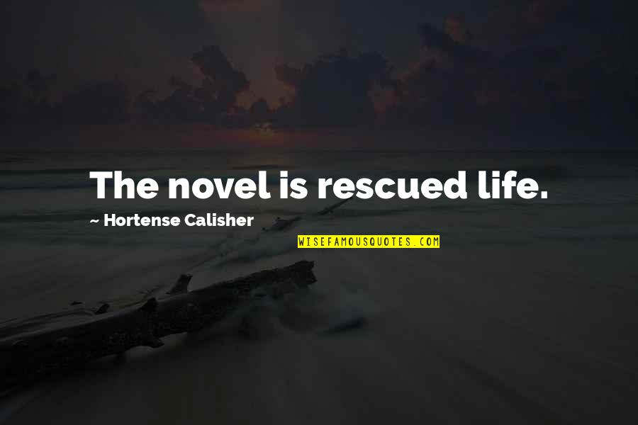 Helping Family Out Quotes By Hortense Calisher: The novel is rescued life.