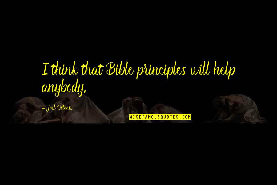 Helping Other Bible Quotes By Joel Osteen: I think that Bible principles will help anybody.