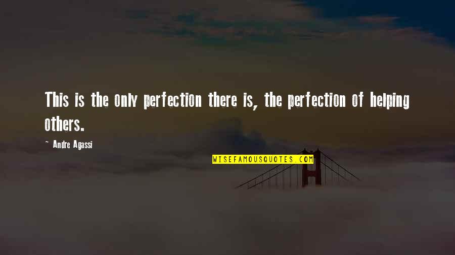 Helping Others Up Quotes By Andre Agassi: This is the only perfection there is, the